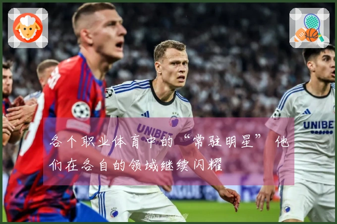 各个职业体育中的“常驻明星” 他们在各自的领域继续闪耀