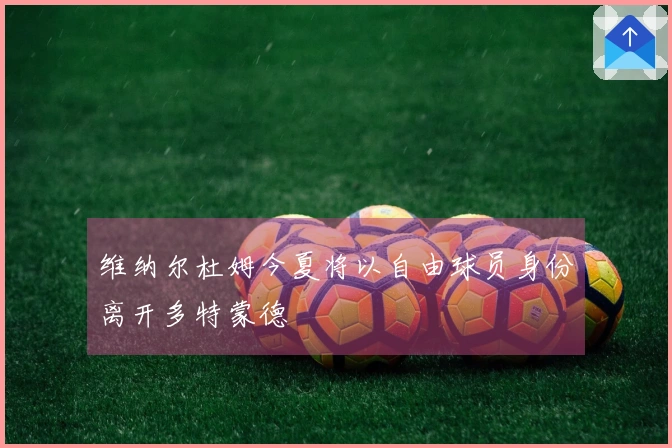 维纳尔杜姆今夏将以自由球员身份离开多特蒙德