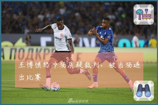 王博愤怒冲场质疑裁判，被当场逐出比赛